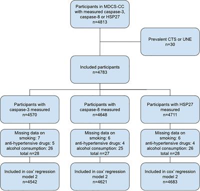 Carpal Tunnel Syndrome and Ulnar Nerve Entrapment at the Elbow Are Not Associated With Plasma Levels of Caspase-3, Caspase-8 or HSP27